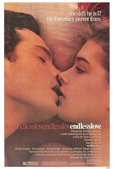 Endless Love movie poster
