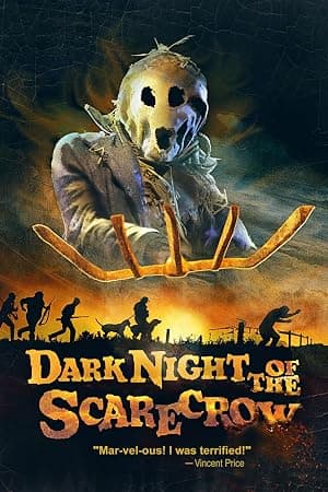 Dark Night of the Scarecrow poster